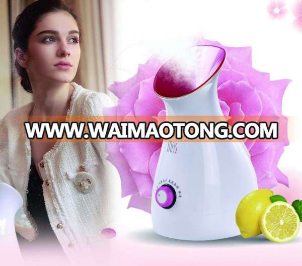 DIY Fruit Facial Sauna Ionic Facial Steamer