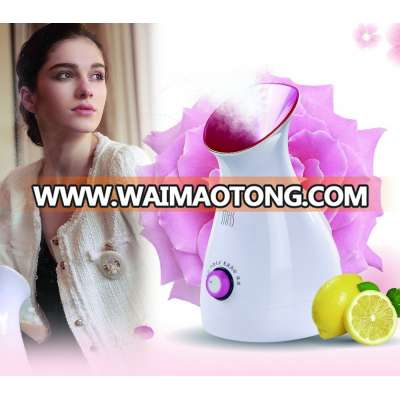 DIY Fruit Facial Sauna Ionic Facial Steamer